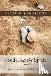 Schreiner, David B - Pondering the Spade
