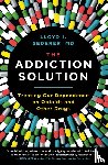 Sederer, Lloyd - The Addiction Solution