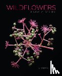 Garn, Andrew - Wildflowers of New York City