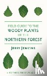 Jenkins, Jerry - Field Guide to the Woody Plants of the Northern Forest