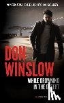 Winslow, Don - Winslow, D: While Drowning in the Desert