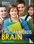 David A. Sousa - How the Special Needs Brain Learns