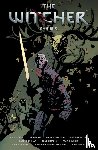 Tobin, Paul, Queiro, Joe, Kowalski, Piotr - The Witcher Omnibus