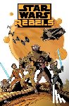 Fisher, Martin - SW REBELS