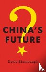 Shambaugh, David (George Washington University) - China's Future