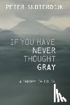 Sloterdijk, Peter (Karlsruhe School of Design) - If You Have Never Thought Gray