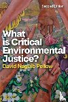 Pellow, David Naguib (University of California - What is Critical Environmental Justice?