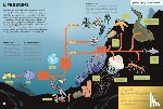 Claybourne, Anna - The History of Everything in 32 Pages