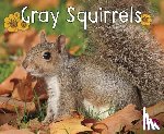 Lake, G. G. - GRAY SQUIRRELS