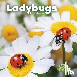 Amstutz, Lisa J. - Ladybugs