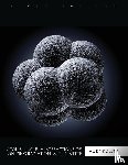 C-K Chris Wang - Atoms, Nuclei, and Interactions of Ionizing Radiation with Matter