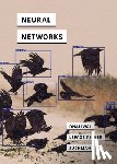 Dhaliwal, Ranjodh Singh, LePage-Richer, Theo, Suchman, Lucy - Neural Networks
