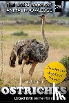 Martin, M. - Ostriches: Largest Birds on the Planet