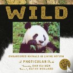 Kainen, Dan, Wollard, Kathy - Wild