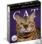 Calendars, Workman - Cat Page-A-Day Gallery Calendar 2024