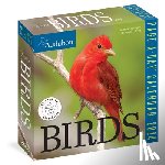 Society, National Audubon, Calendars, Workman - Audubon Birds Page-A-Day Calendar 2024