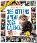 Calendars, Workman - 365 Kittens-A-Year Picture-A-Day Wall Calendar 2024
