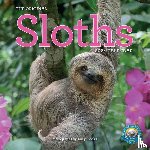 Cooke, Lucy, Calendars, Workman - Original Sloths Wall Calendar 2024