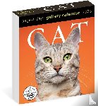Calendars, Workman - Cat Page-A-Day® Gallery Calendar 2025