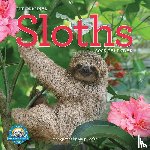 Cooke, Lucy, Calendars, Workman - Original Sloths Wall Calendar 2025