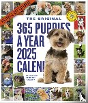 Calendars, Workman - 365 Puppies-A-Year Picture-A-Day® Wall Calendar 2025