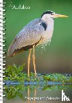 Society, National Audubon, Calendars, Workman - Audubon Engagement Calendar 2025