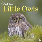 Society, National Audubon, Calendars, Workman - Audubon Little Owls Mini Wall Calendar 2025