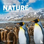 Society, National Audubon, Calendars, Workman - Audubon Nature Wall Calendar 2025