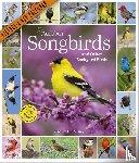 Society, National Audubon, Calendars, Workman - Audubon Songbirds and Other Backyard Birds Picture-A-Day® Wall Calendar 2025