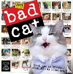 Prichett, Harry, Rosen, Richard D., Battles, Rob - Bad Cat Wall Calendar 2025