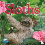Cooke, Lucy, Calendars, Workman - Original Sloths Mini Wall Calendar 2026