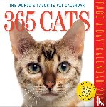 Calendars, Workman - 365 Cats Page-A-Day® Calendar 2026