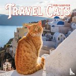 Publishing, Workman - Travel Cats Wall Calendar 2026