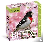 Society, National Audubon, Calendars, Workman - Audubon Birds Page-A-Day® Calendar 2026