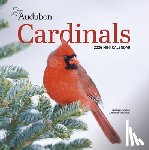 Calendars, Workman - Audubon Cardinals Mini Wall Calendar 2026