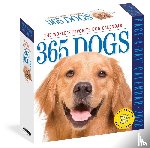 Calendars, Workman - 365 Dogs Page-A-Day® Calendar 2026