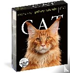Calendars, Workman - Cat Page-A-Day® Gallery Calendar 2026