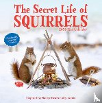 Rose, Nancy, Calendars, Workman - Secret Life of Squirrels Mini Wall Calendar 2026