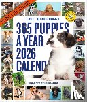 Workman Calendars - 365 Puppies-A-Year Picture-A-Day(r) Wall Calendar 2026