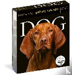 Calendars, Workman - Dog Page-A-Day® Gallery Calendar 2026