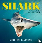 Skerry, Brian, Calendars, Workman - Shark Mini Wall Calendar 2026