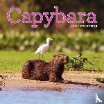 Calendars, Workman - Workman Calendars: Capybara Wall Calendar 2027