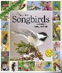 Society, National Audubon, Calendars, Workman - Audubon Songbirds and Other Backyard Birds Picture-A-Day® Wall Calendar 2027