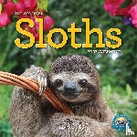 Cooke, Lucy, Llc, Pink Tree Frog Productions, Calendars, Workman - Original Sloths Wall Calendar 2027