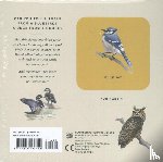 Sibley, David Allen - Sibley Backyard Birds Matching Game