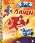 Berrios, Frank - The Flash! (DC Super Friends)