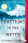 Steadman, Catherine - Something in the Water