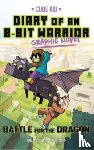 Sourcil, Pirate - Diary of an 8-Bit Warrior Graphic Novel