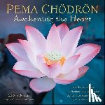 Chodron, Pema, Amber Lotus Publishing - Pema Chodron 2026 Wall Calendar