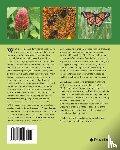 Elmy, Kevin R - Cover Cropping in Western Canada